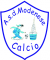logo Modenese