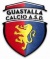 logo Guastalla calcio Saturno